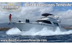 Luxury Motor Yacht Private Charter (Sea Ray Sedan Bridge)